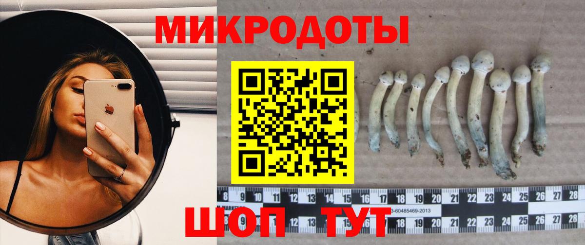 Лыткарино  Галлюциногенные грибы мухоморы  Вход с VPN 
