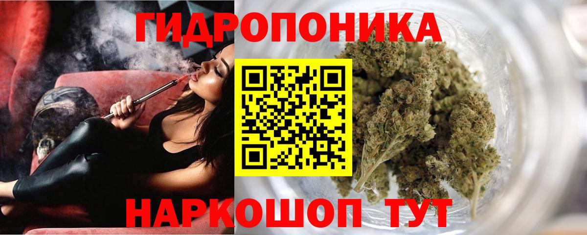 Бошки Шишки семена  Вход с VPN  Каннабис индика  Конопля ГИДРОПОН  Лыткарино 
